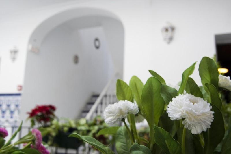 Triana Backpackers Albergue